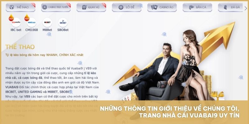 Những thông tin giới thiệu về chúng tôi, trang nhà cái Vuabai9 uy tín